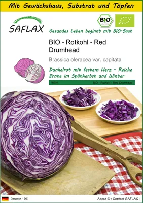 Produktbild von SAFLAX Anzucht Set - BIO - Rotkohl - Red Drumhead - Brassica oleracea var. capitata - 250 Samen - Mit Mini-Gewächshaus, Anzuchtsubstrat und 2 Töpfen