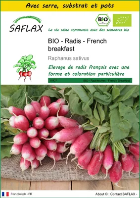 Image de SAFLAX Ensemble de culture -- Radis - French breakfast - 150 graines - Raphanus