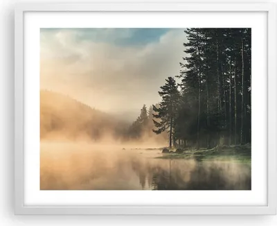 Produktbild von Gerahmtes Poster - Weißer Rahmen - Nebel See Wald - 50x40 cm - Wand Bild - Wanddeko - Wandbilder - Kunstposter - Wandposter - Bilderrahmen - Bilder - Kunstdruck - Wanddekoration - P2WAA50x40-4440