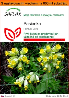 Obrázok produktu pre SAFLAX Garden in the bag - pasienka - Primula veris - 100 Semená - S pestovateľským substrátom v praktickom samostaviteľnom vrecku