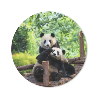 Produktbild von MuchoWow® Mauspad Mousepad Panda - Brücke - Natur 30x30 cm - Mousepads - Maus Mat - Pad - Mausunterlage - Tischunterlage - Schreibtischmatten