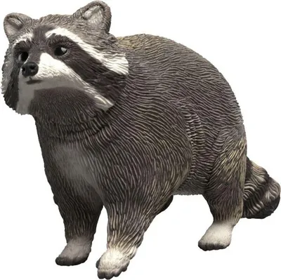 Imagen del producto de Vida silvestre: mapache