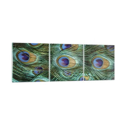 Produktbild von Bilder auf glas - 3 Teile - Pfauen Feder Makro - 150x50cm - Glasbilder - Wandbilder - Bilder - zum Aufhängen bereit - Wanddekoration aus Glas - Glas Bilder - Wandbild auf Glas - GCA150x50-4159