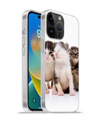Produktbild von MuchoWow® Handyhülle Schutzhülle Hülle für Apple iPhone 14 Pro - Softcase Katze - Haustiere - Fell - Porträt Silikon Softcase Handy Hülle - Umschlag