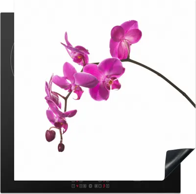 Obrázok produktu pre KitchenYeah® Kryt varnej dosky orchidea na bielom pozadí, 78x78cm, kuchynská dekorácia, keramický kryt varnej dosky, krycia doska na varnú dosku