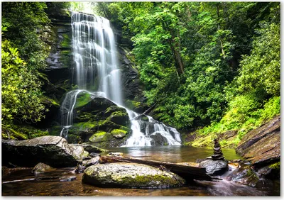 Produktbild von Tulup® Glas-Bild - 100 x 70 - Wandbild aus Glas - Wandkunst - Wandbild hinter gehärtetem Sicherheitsglas - Landschaften - Wasserfall im Wald - Grün