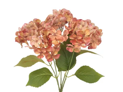 Produktbild von 2474U Künstliche Hortensie, Hochwertige Kunstblume, täuschend echte Seidenblume mit großem Blütenkopf, Lachsrosa, 45 cm