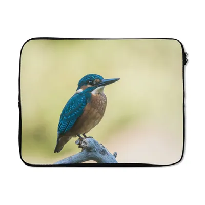 Produktbild von MuchoWow® Laptop Hülle 15 Zoll Eisvogel - Zweig - Vogel Laptoptasche - Laptoptasche - Sleeve - Rundum-Schutz