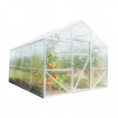 Produktbild von Stahl Gewächshaus Victoria mit Fundament 300x800x250 cm, Hohlkammerplatten 4 mm – Garten- & Tomatenhaus