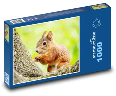 Obrázok produktu pre Puzzle 1000 Veverička na strome - martinpuzzle