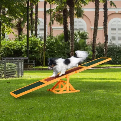 Immagine prodotto di Altalena per cani – Altalena per agility in legno | Colore: Verde, Marrone | Dimensioni: 70,86 x 11,81 x 11,81 cm