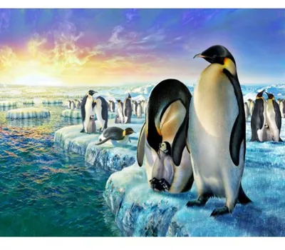Produktbild von Malen nach Zahlen – PINGUINE AUF MEEREIS ohne Rahmen 40 x 50 cm
