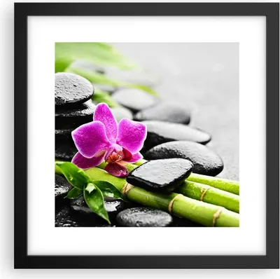 Produktbild von Gerahmtes Poster - Schwarzer Rahmen - Pflanze Steine Bambus Spa - 30x30 cm - Wand Bild - Wanddeko - Wandbilder - Wandposter - Bilderrahmen - Bilder - Kunstdruck - Wandbild - P2BAC30x30-2681