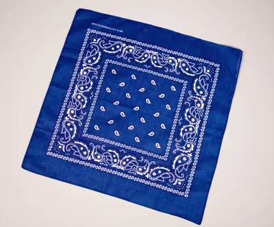 Produktbild von Bandana ca. 55x55 cm, blau, bedruckt