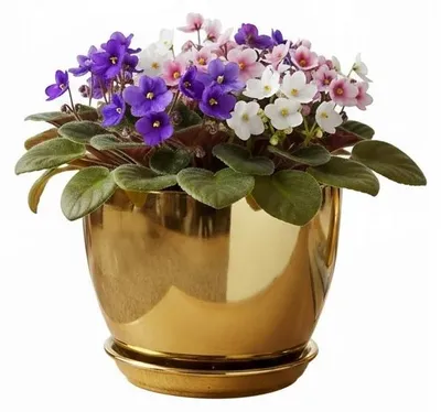 Zdjęcie produktu dla Doniczka Ceramiczna Złota Wysoki Połysk Efekt Lustra Ś 18Cm W 16Cm