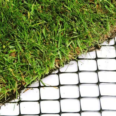 Zdjęcie produktu dla Siatka na krety - 1 x 50 metrów - rolka - 60 gr/m² - rozmiar oczek 15 mm x 20 mm