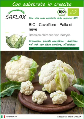 Immagine prodotto di SAFLAX  -- Cavolfiore - Palla di neve - 70 semi - Con substrato - Brassica