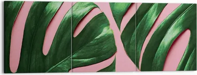 Produktbild von Bild auf Leinwand - Leinwandbild - 3 Teile - Monstera Blatt Rosa - 150x50cm - Wand Bild - Wanddeko - Wandbilder - Leinwanddruck - Bilder - Wanddekoration - Leinwand bilder - Wandbild - CA150x50-4407