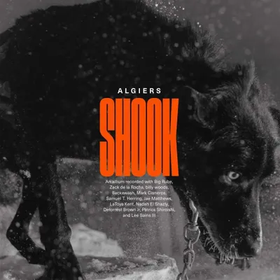 Obrázek produktu pro Algiers: Shook -   - (CD / Titel: Q-Z)