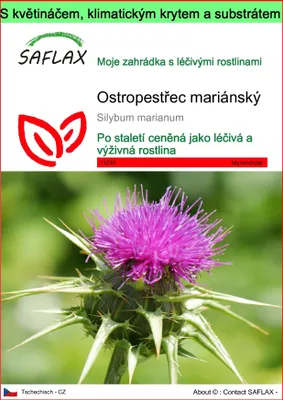 Obrázek produktu pro SAFLAX Garden to go - ostropestřec mariánský - Silybum marianum - 75 Semena - S květináčem, klimatickou poklicí a pěstebním substrátem