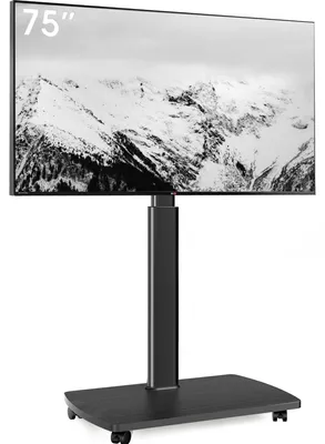 Produktbild von TV-Wandhalterung, rollbar - für Bildschirme 43-75 Zoll - max. 50 kg - VESA 600x400 - Metall, MDF, schwarz