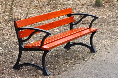 Image de Banc de jardin en bois avec dossier 170x60 cm Banc de parc ; acajou
