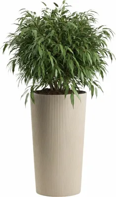 Produktbild von HowHomely | Pflanzgefäß - Blumenkübel - beige - 57x29 cm - Übertopf - Pflanzkübel - geriffelt