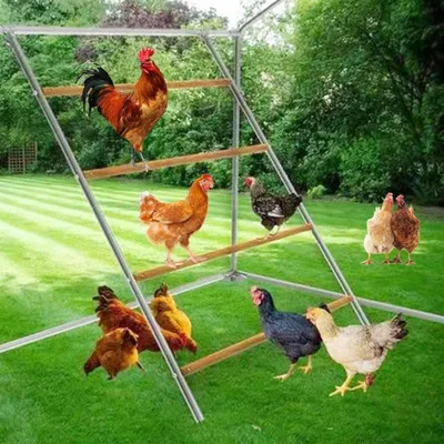 Productafbeelding van Kippenhuis Ladder - Klimrek Vogel - Dieren Welzijn - Verstelbare Hoogte - 140x104 cm - Metaal