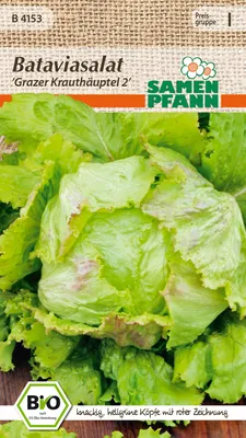 Produktbild von Bataviasalat Grazer Krauthäuptel 2 | Bataviasalatsamen von Samen Pfann