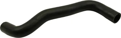 Produktbild von FAST Kühlerschlauch Wasserschlauch für RENAULT CLIO II (BB0/1/2, CB0/1/2) FT61080