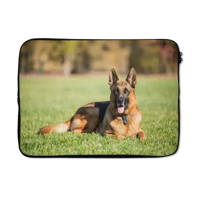 Produktbild von MuchoWow® Laptop Hülle 14 ZollDeutscher Schäferhund im Gras liegend Laptoptasche - Laptoptasche - Stoßsicher - Schutzhaube