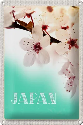 Produktbild von Blechschild Reise 20x30cm Japan Asien Blume weiß rosa Natur