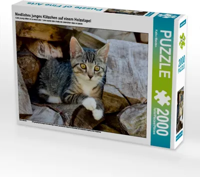 Produktbild von Calvendo Niedliches junges Kätzchen auf einem Holzstapel 2000 Teile Puzzle quer 900x670mm, Menden Katho; 7396363