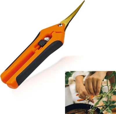 Produktbild von 1 Stück Gartenschere Ernteschere, Professionelle Trimmschere, Für Pflanzen Blumen Rosen Gemüse Obst, Rosenschere Blumenschere Pflanzenschere, Kleine Gartenschere Mit Feststellgriff (Orange)