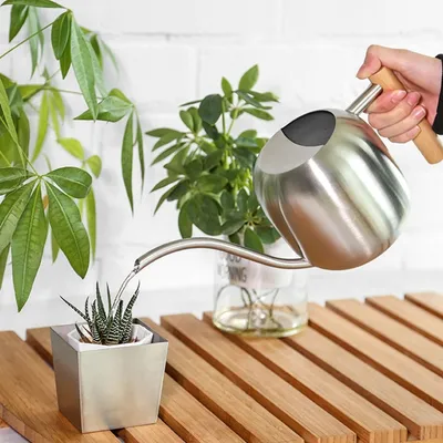 Produktbild von 1,2 L Gießkanne, Holzgriff Edelstahl Hohe Kapazität, Metall Langer Mund Gießkanne, Gartenarbeit Gießkanne für Zimmerpflanzen, Sukkulenten (Silber)