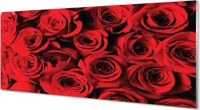 Produktbild von Glasbilder 125x50 Wandkunst Rosen