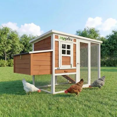 Produktbild von Hühnerstall Hühnerhaus Hühnervoliere XXL zooprinz Ida | Wetterfest & Winterfest | 162 x 103 x 75 cm | Klappdach | Nistkasten