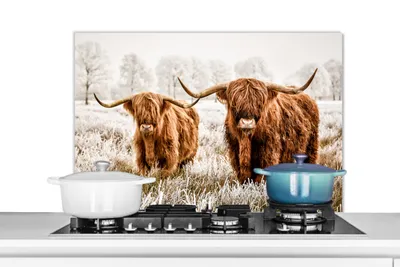 Obrázek produktu pro KitchenYeah® Splashback kitchen - Kuchyňský splashback - Ochrana stěny sporáku a dřezu - Skotský náhorní skot - Kráva - Příroda - Zima 90x60 - Alu-Dibond (alternativa ke skleněnému splashbacku) - Heatb