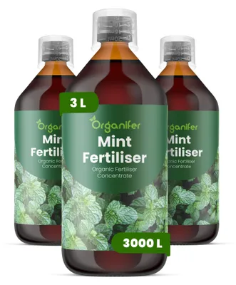 Zdjęcie produktu dla Mäta Nawóz Płynny 3x1 L – 2-1-8 NPK – Do Mätu – Podporuje Bujne Rośliny i Vysokú Produkciu Éterických Olejov – Organifer