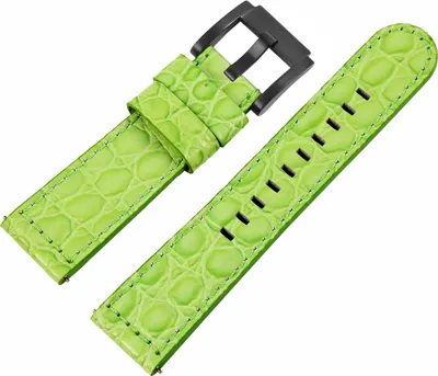 Produktbild von TW STEEL MC Edition | Uhrenarmband 22mm | Leder grün | 8400048