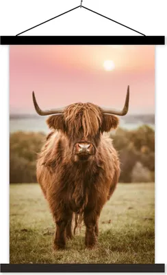 Produktbild von MuchoWow® Textilposter Sonnenuntergang - Tier - Schottisches Hochlandrind 60x90 cm mit schwarzem Rahmen - Poster Wohnzimmer