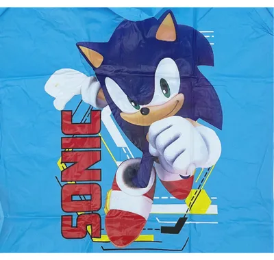 Produktbild von Sonic the Hedgehog Kinder Jungen Regenmantel , Größe:104-110