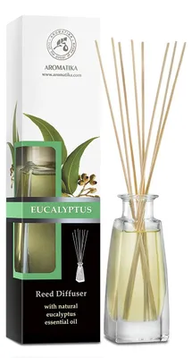 Raumduft Eucalyptus 100 ml mit 8 Bambusstäbchen