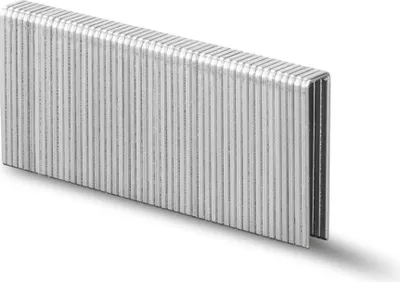 Image de Agrafes Type 55 Parkside PET 25 Longueur 25mm