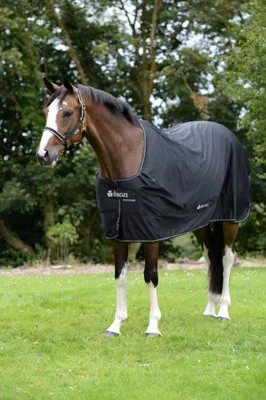 Produktbild von Bucas Multifunktionsdecke Shamrock Power Black / Silver 135