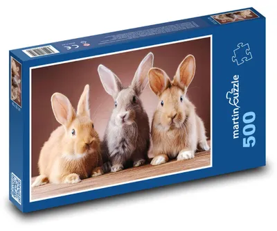 Obrázok produktu pre Puzzle 500 Roztomilé Zajace na Dreve - martinpuzzle
