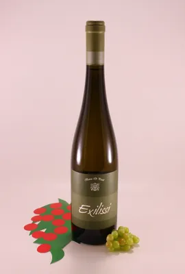 Obrázok produktu pre Gewürztraminer Exilissi - ročník 2016 - Baron di Pauli