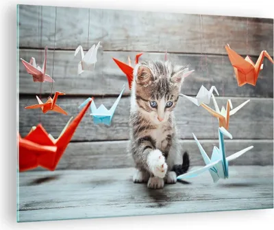 Produktbild von Bilder auf glas - Katze spaß origami - 70x50cm - Glasbilder - Wandbilder - Kunstdruck - zum Aufhängen bereit - Wanddekoration aus Glas - Glas Bilder - Wandbild auf Glas - Einteilig - GAA70x50-2818