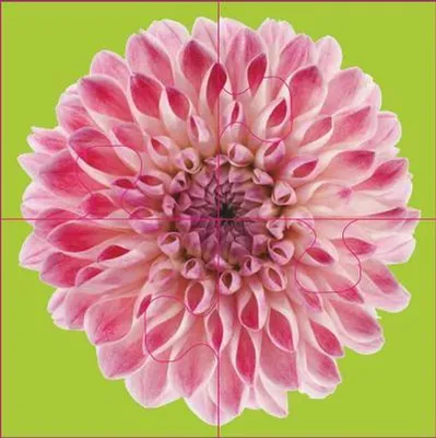 Produktbild von Das "Gelingt-immer"-Puzzle Blumen. Das Puzzle-Spiel für Senioren mit Demenz
