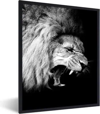 Produktbild von MuchoWow® Gerahmtes Poster Löwe - Porträt - Schwarz - Weiß - Tiere 60x80 cm - Poster mit Schwarzem Bilderrahmen Wandposter Rahmen Foto Bilder - Premium - Wanddeko Wohnzimmer